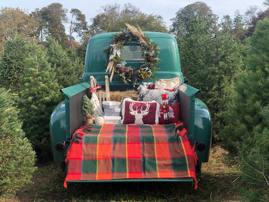 1950 Ford F-1 Meadow Pick-up Truck - North Fork Vintage Cars